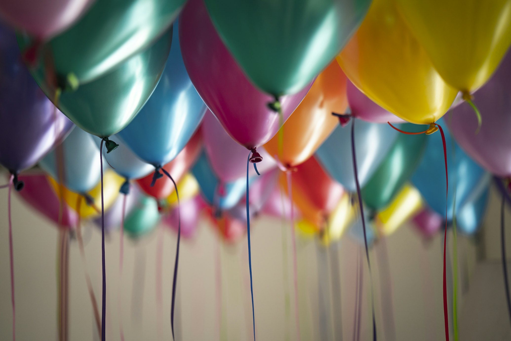 Anniversary & Family Celebration